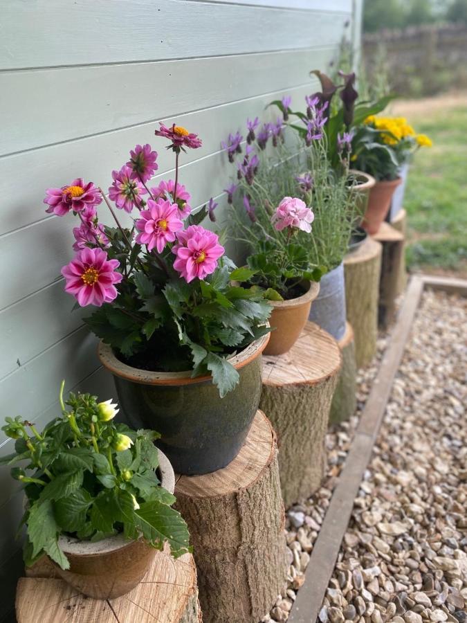 Cosy Cotswolds Self-Contained One Bedroom Cottage Chipping Norton Exteriér fotografie